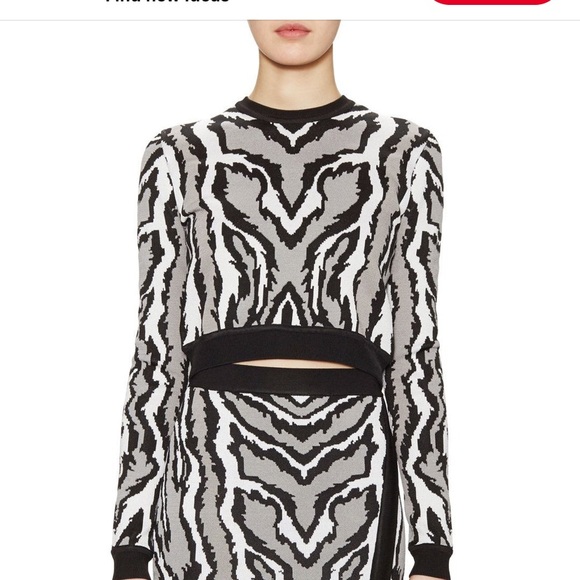 Torn by Ronny Kobo Sweaters - Torn by Ronny Kobo crop sweater